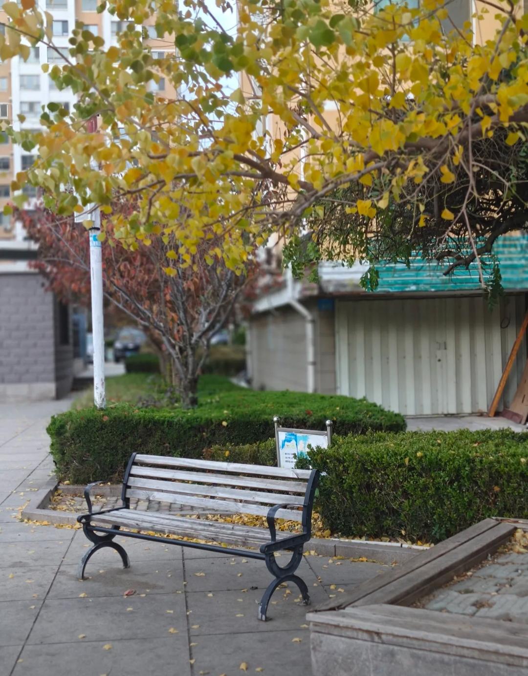 退休以后喜欢一个人独处在家基本上不怎么与人来往自己一个人在家做做饭，看