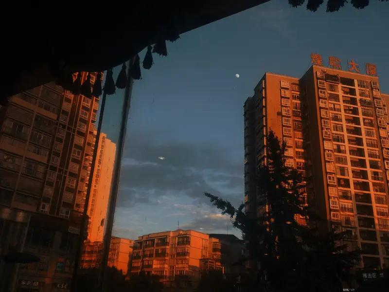 提前上班反被开除，这姑娘冤不冤？最近听说个新鲜事：西班牙有个在快递公司上班的姑