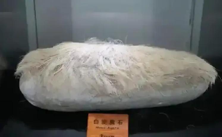 1987年夏天，辽宁人田恩宏去青岛海边游玩，夏季的海滩十分的惬意，在熙熙攘攘的人