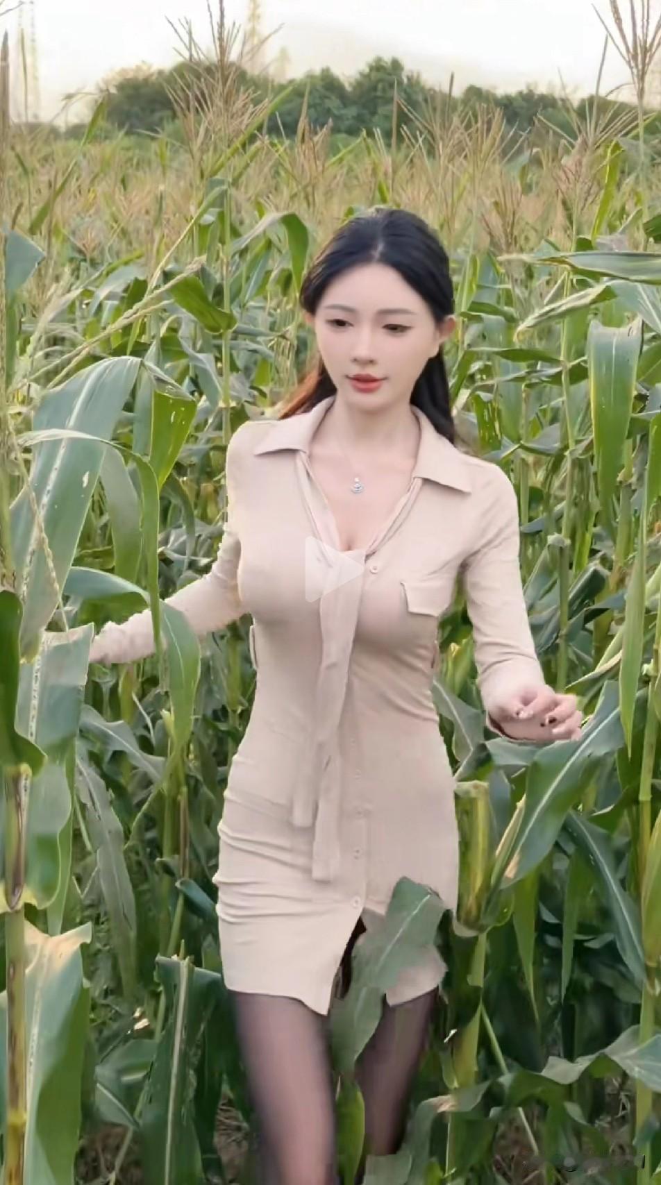 苞米地佳人玉立青纱映晚晖，素衣轻拂晚风微。纤腰款步惊田雀，笑靥嫣然醉落晖。