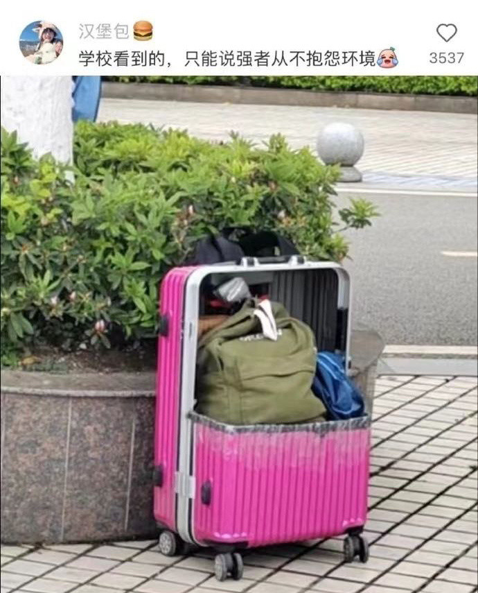 这方面我们总有莫名其妙的松弛感