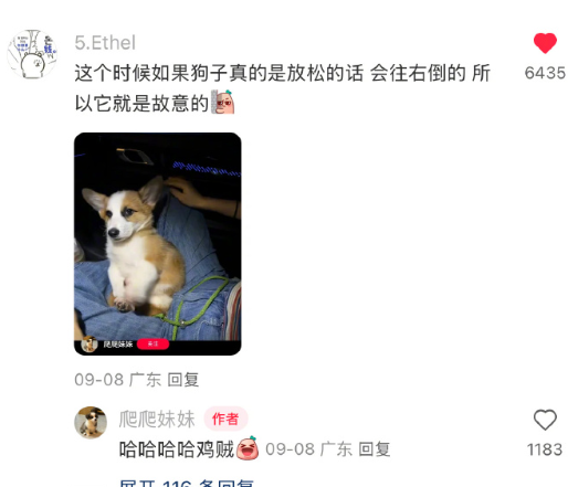 到家还不忘跟麻麻撒娇的小短腿