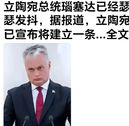 立陶宛总统脑路不通了。网曝：这位立陶宛总统还真有一手，他深知不断的挑衅俄罗斯怕