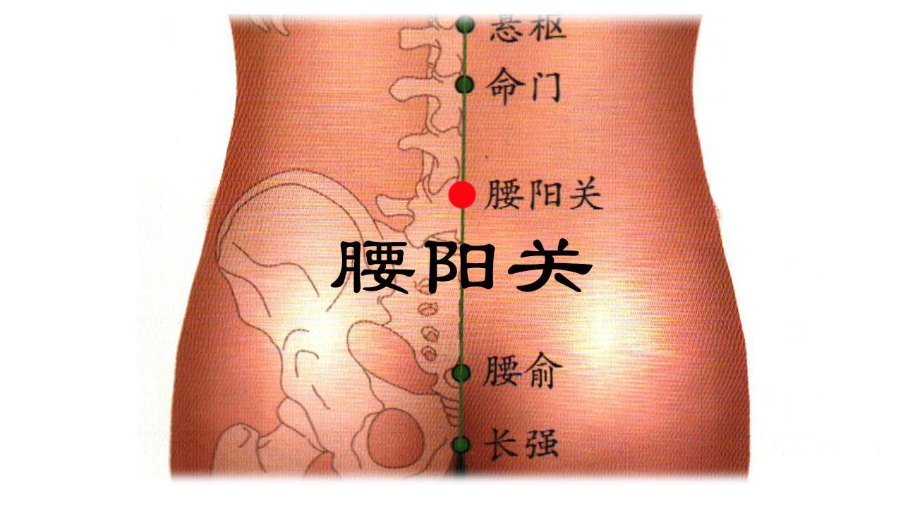 环跳:在股外侧部,侧卧屈股,当股骨大转子最凸点与骶管裂孔连线的外1/3