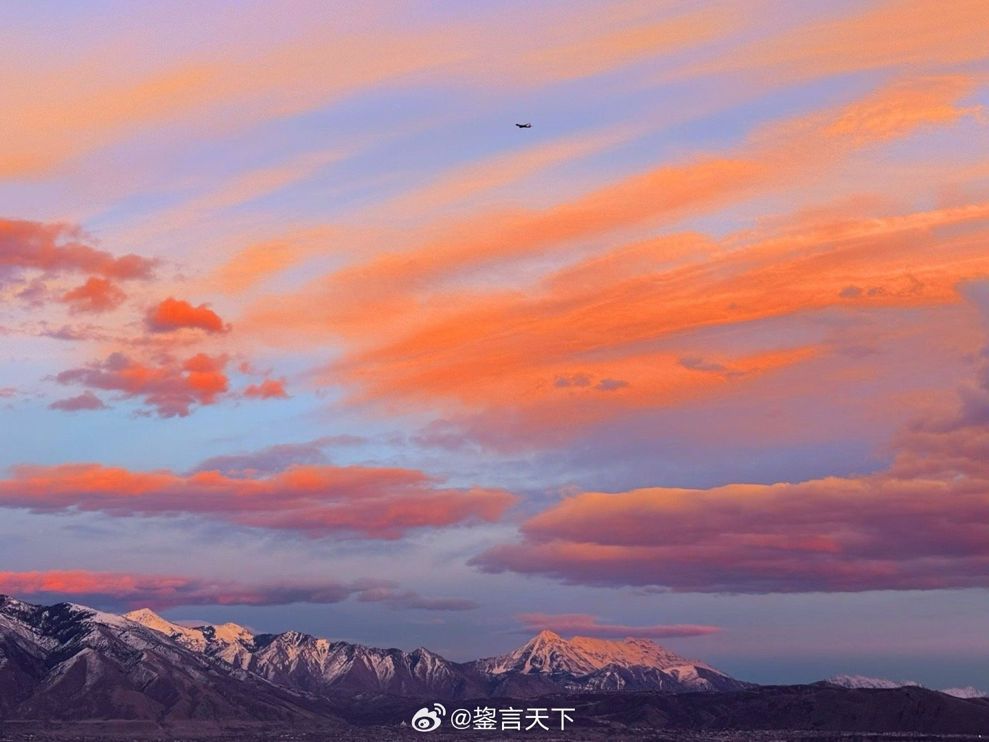 家景最美乖妈摄影