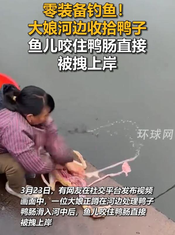 钓鱼佬看到都沉默了！大妈在河边收拾鸭子，在清理内脏时，鸭肠滑进了水里，没想到却带