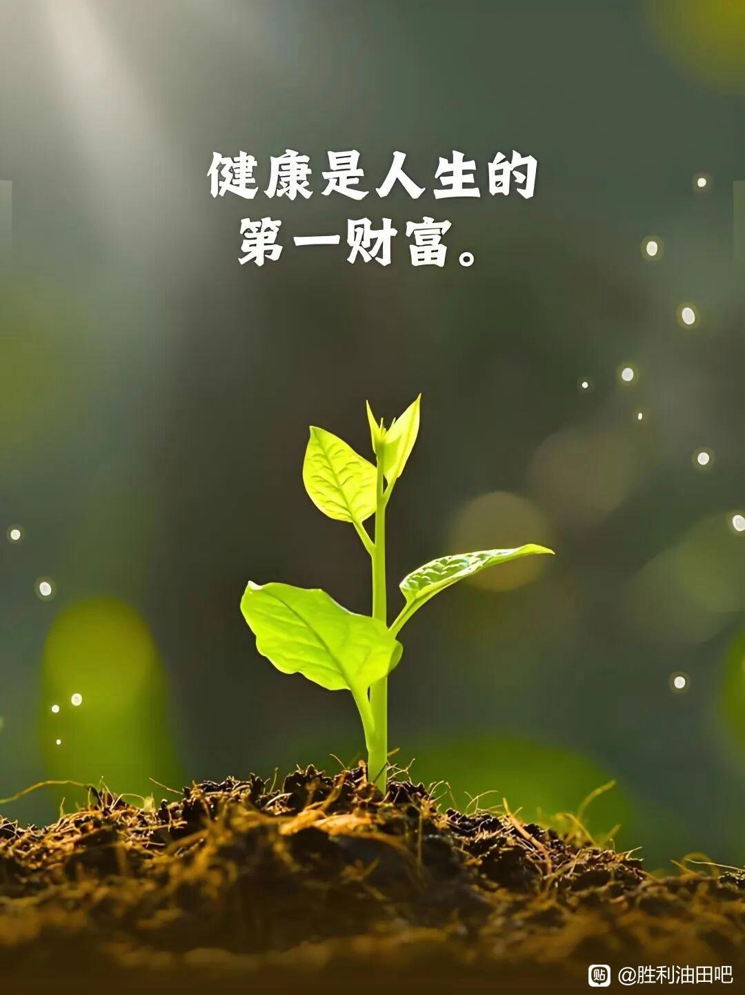 六十岁以后比较感兴趣的话题：1.怎样运动和有一个健康的身体：六十岁以后，中老