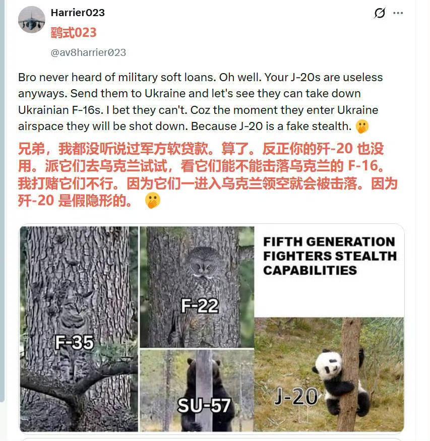 一张国外网友的梗图在军迷圈里火了：图里把F-35、F-22、苏-57都P成了“伪