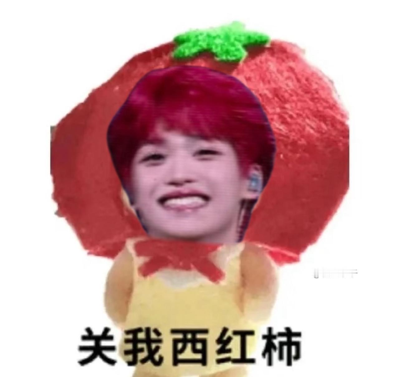 关朋西红柿​专栏·萌萌梗图​