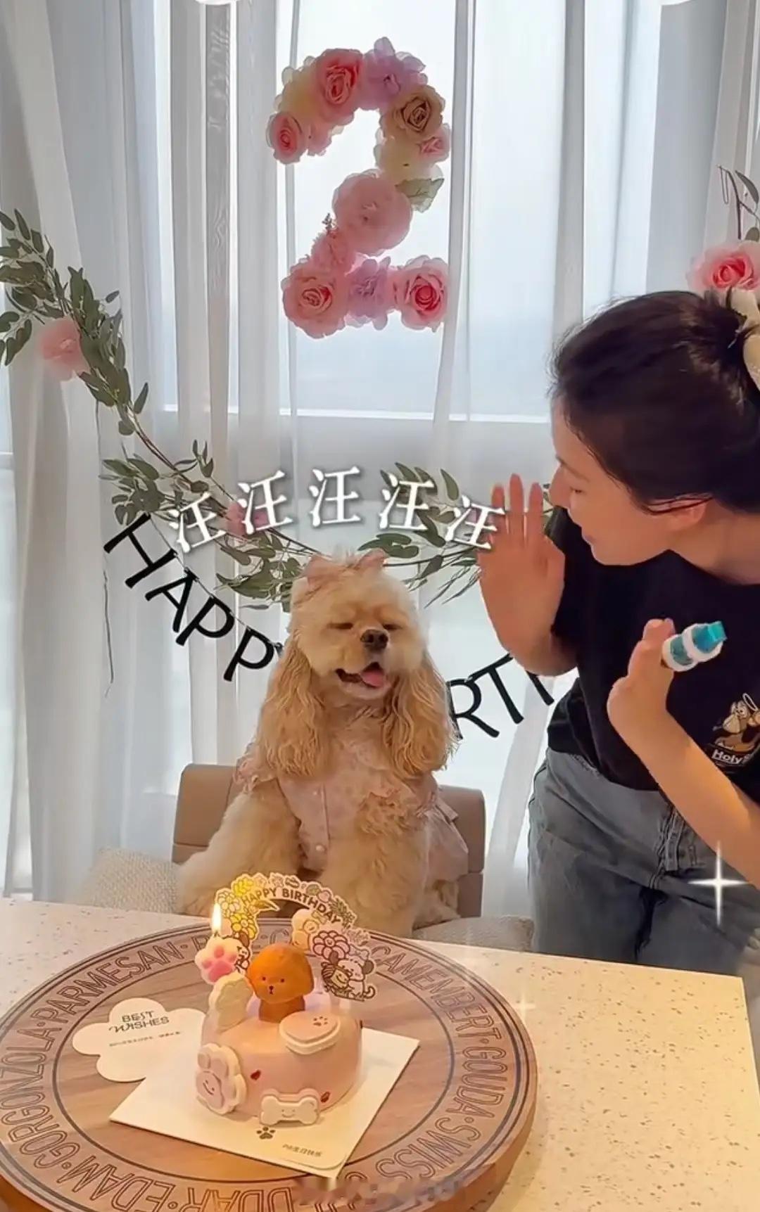 乔欣南非旅游回国，老公赖柏霖带狗游泳好温柔，豪宅带泳池很奢华！！！​​​