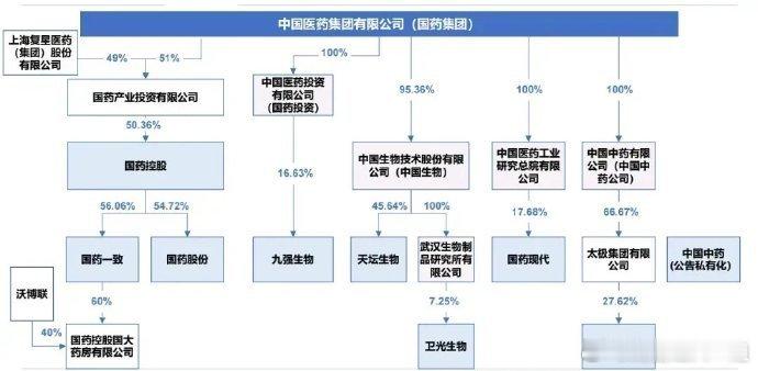 国药集团：太极集团（中药）、国药现代（工业）、国药一致（药店）、国药股份（精麻分