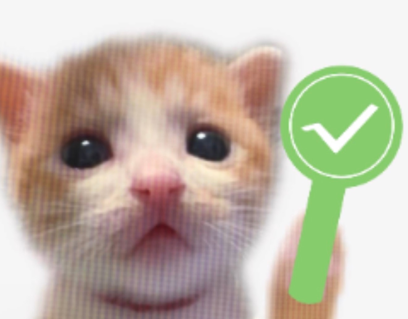天定良元🐱​​​