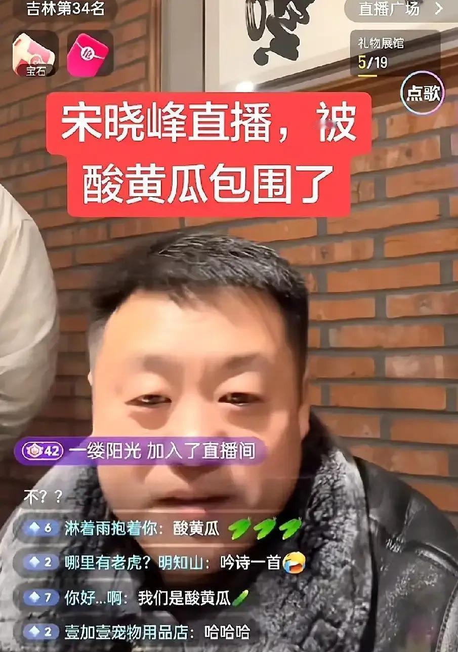 宋晓峰直播带货，弹幕突然被“酸黄瓜”刷屏。他一脸懵，赵四那边也一样，严肃制止根