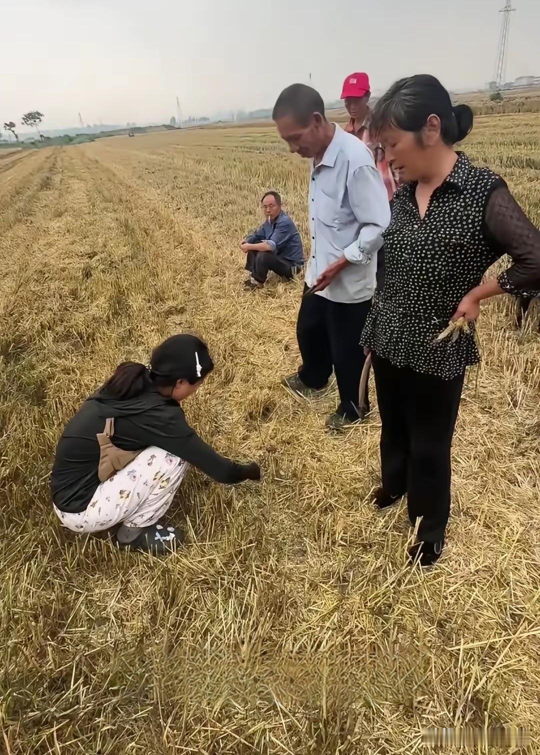 老百姓种地不容易，我劝网友们大度一点，不要对庄稼人说三道四的冷嘲热讽了！为什么会