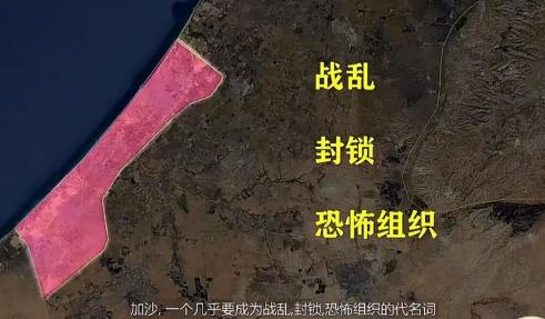 中国宣布，正式加入“法英日加”群聊，战局即将扭转了！2025年9月，中国正式