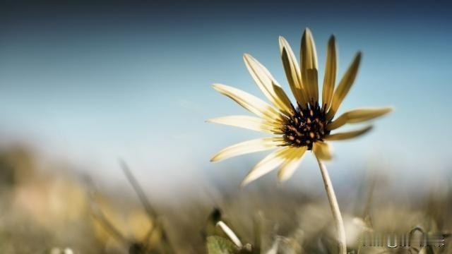 大家有没有发现凡是研究或者国学再或者史学的，都很长寿！还有一些心态特别好