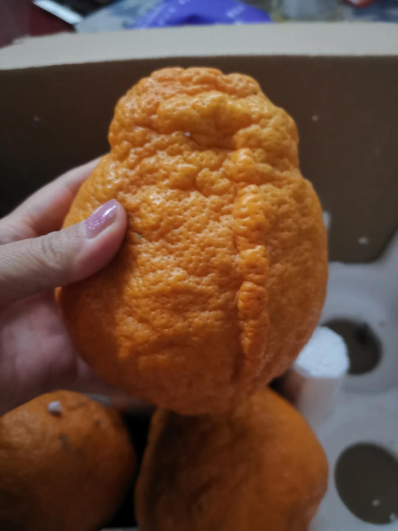 笑死了，真的没法下嘴！浙江女子花20多元网购了一箱耙耙柑，打开一看，丑法各不相同