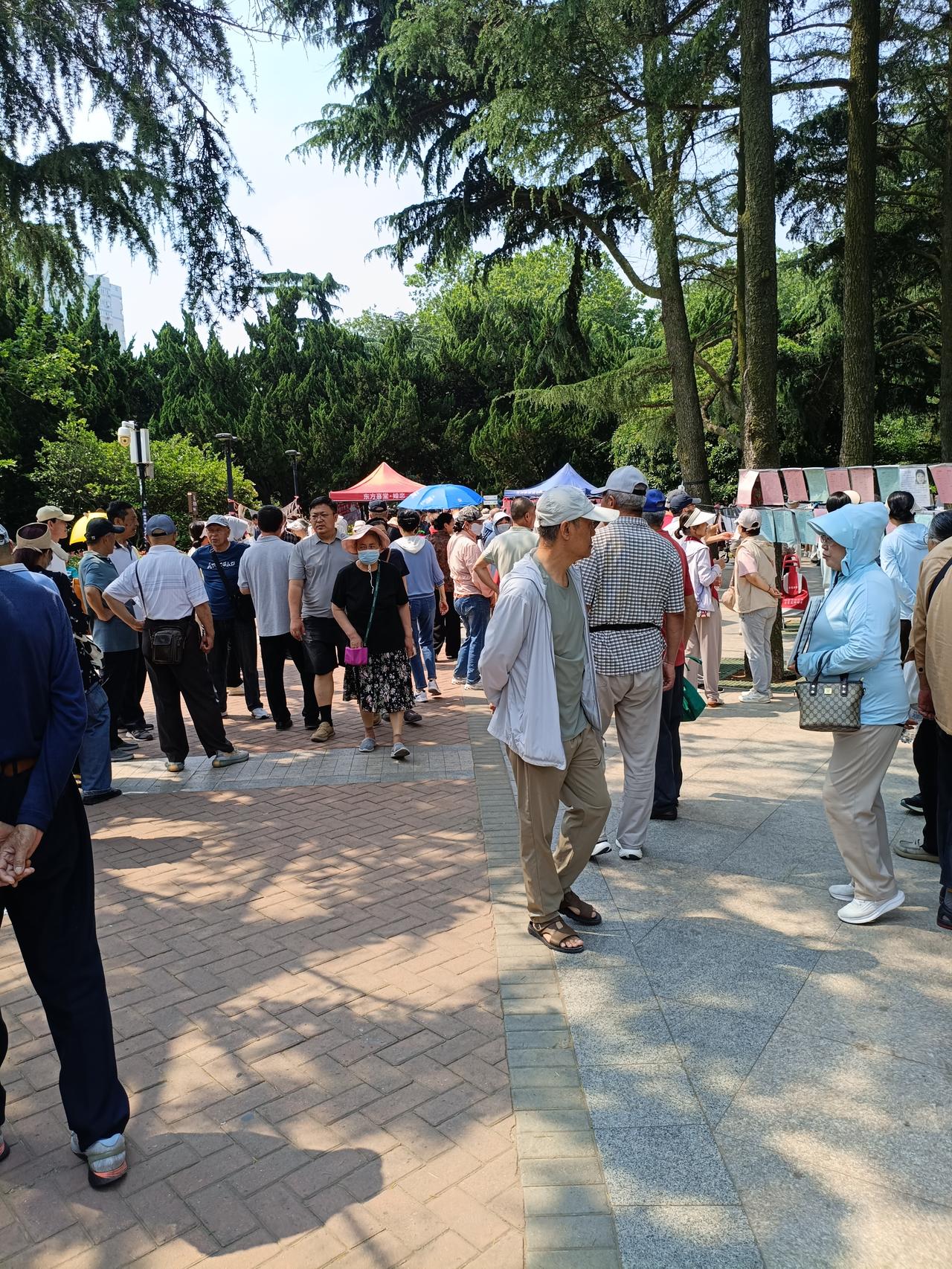 经常去青岛市北的海泊河市场买菜，会顺便逛逛海泊河公园。每周六海泊河公