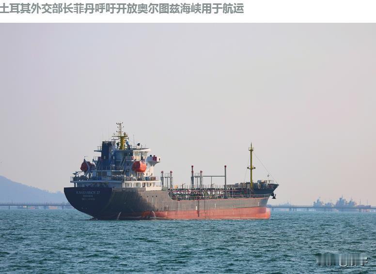 反对伊朗在霍尔木兹海峡收费，土耳其替全世界挺身而出！就在最近伊朗外交部各路人