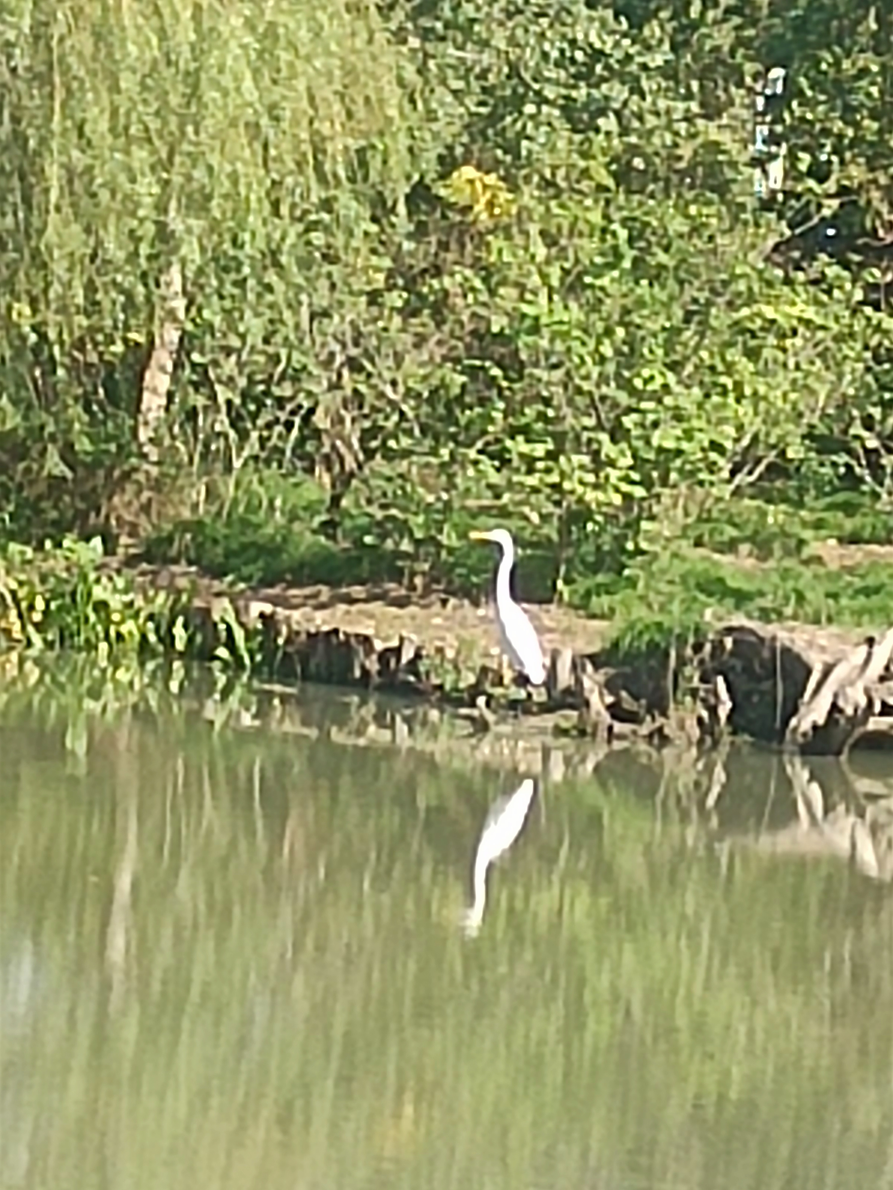 你喜欢性感的泳装穿搭吗