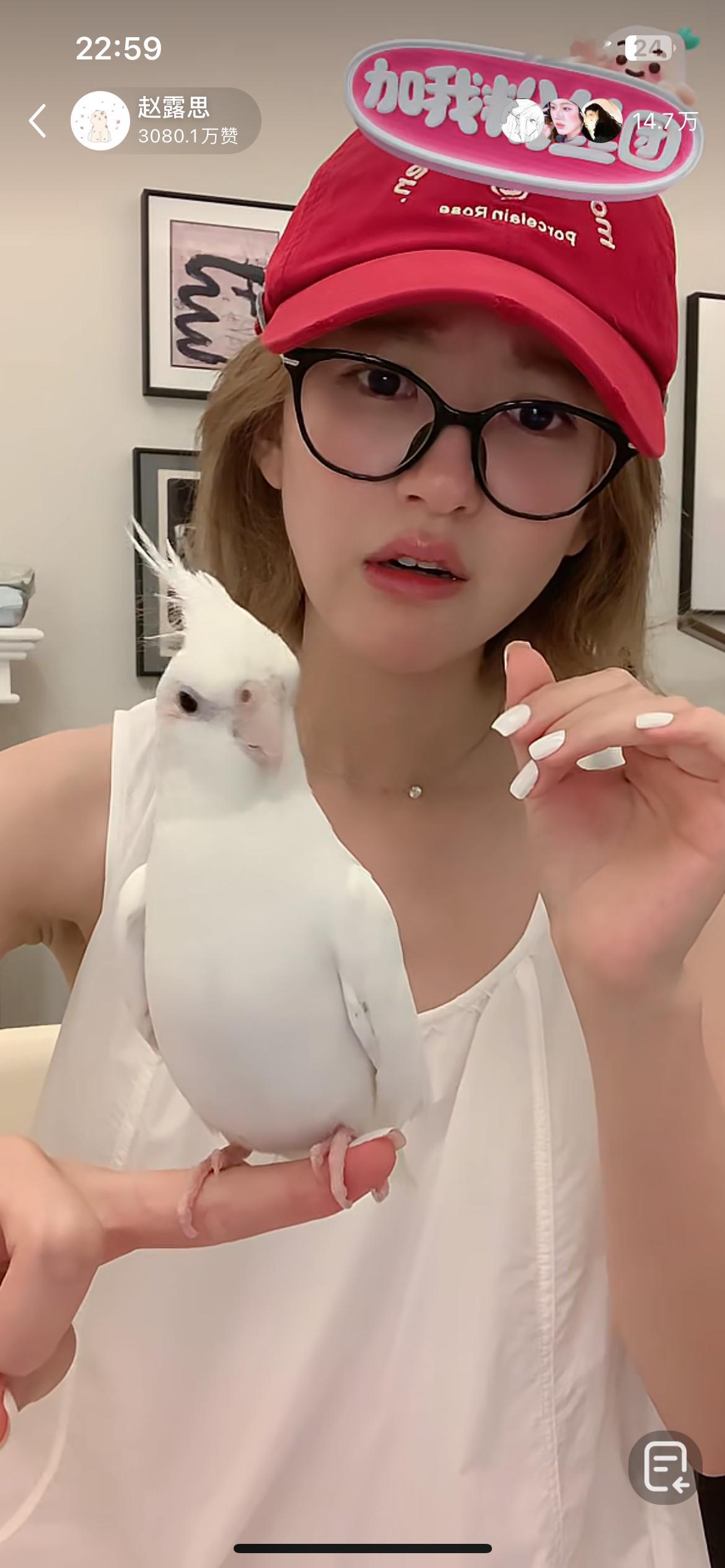 注意：此处非静止画面，你的新鸟主播已经被踢出直播间​​​