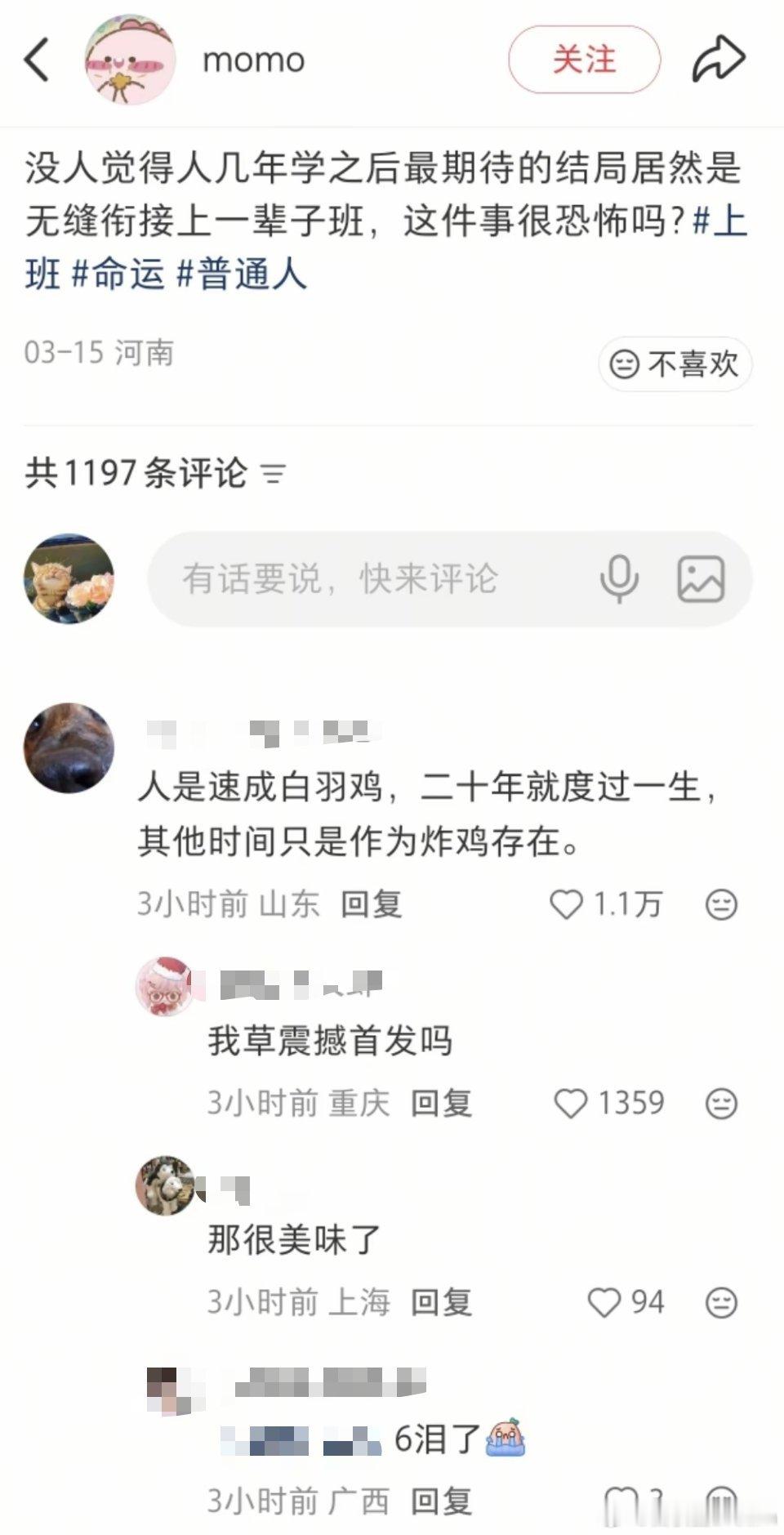 网友：人是速成白羽鸡