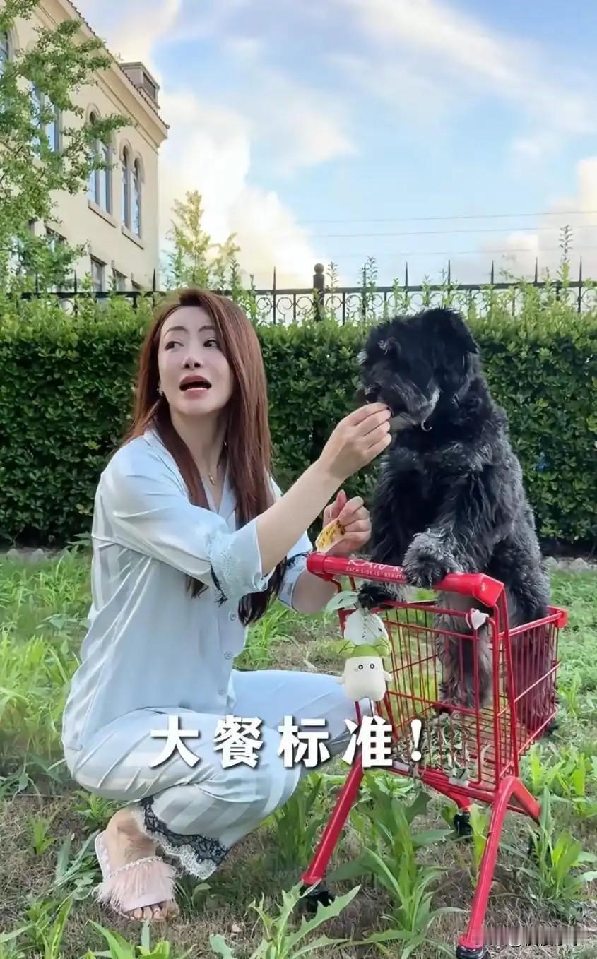 50岁陈紫函晒杭州新家别墅！携一家三口搬离北京，邀友暖房热闹！[呲牙笑][呲牙笑]