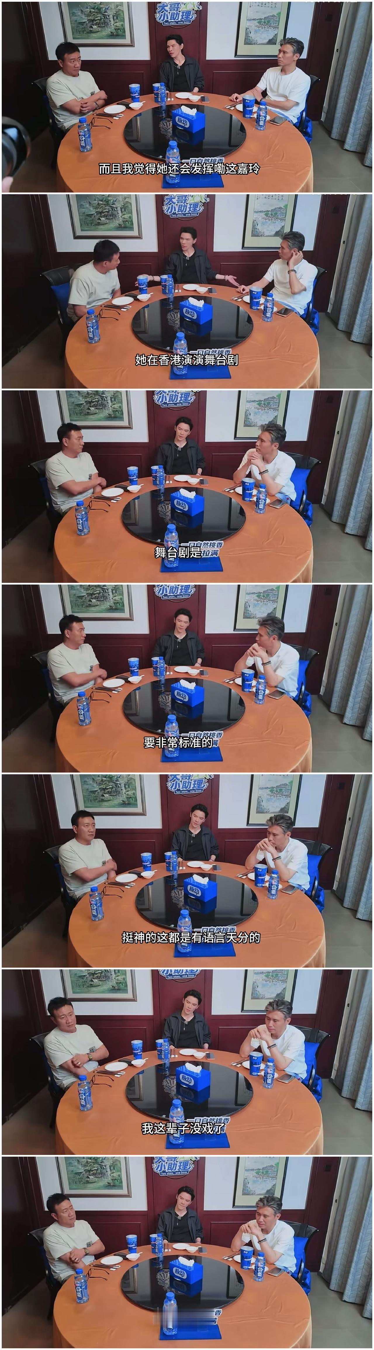 向佐说大实话，在这一点上，王菲确实比不上刘嘉玲。向佐跟胡军，李乃文饭后聊