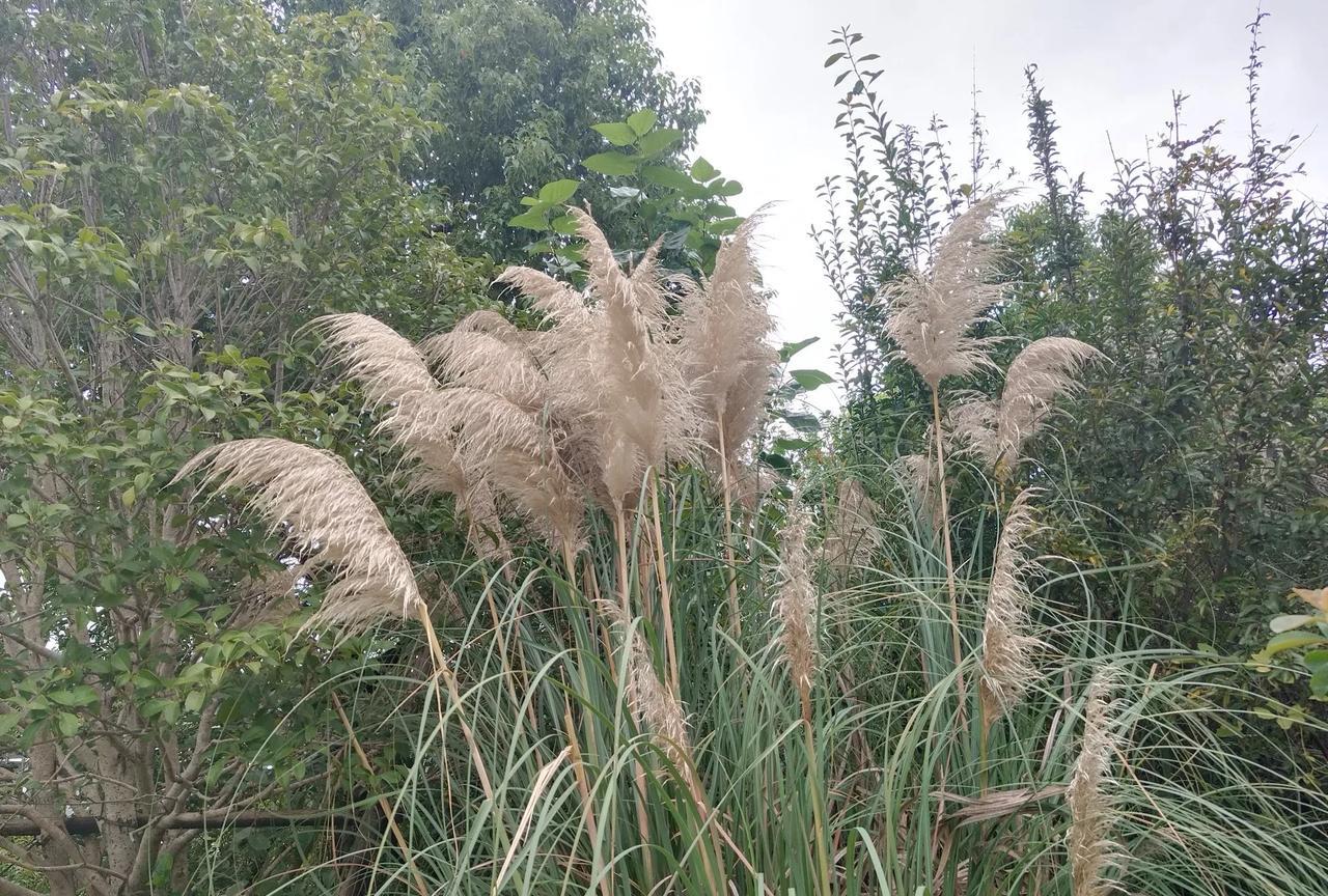 隔壁邻居说今年国庆节，不带孩子外出旅游了，就在周边游吧。去年邻居带孩子去外地爬