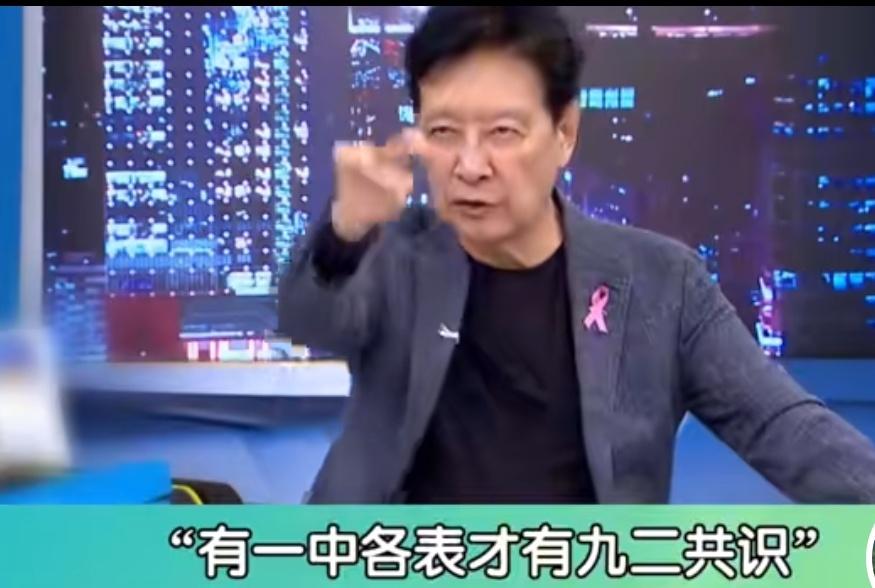 台湾省媒体人赵少康在自己主持的少康情战室节目中说，他支持的是“一中各表”的“九二