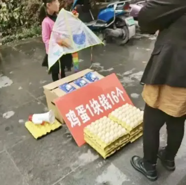 这小姑娘脑子是不是很灵光？