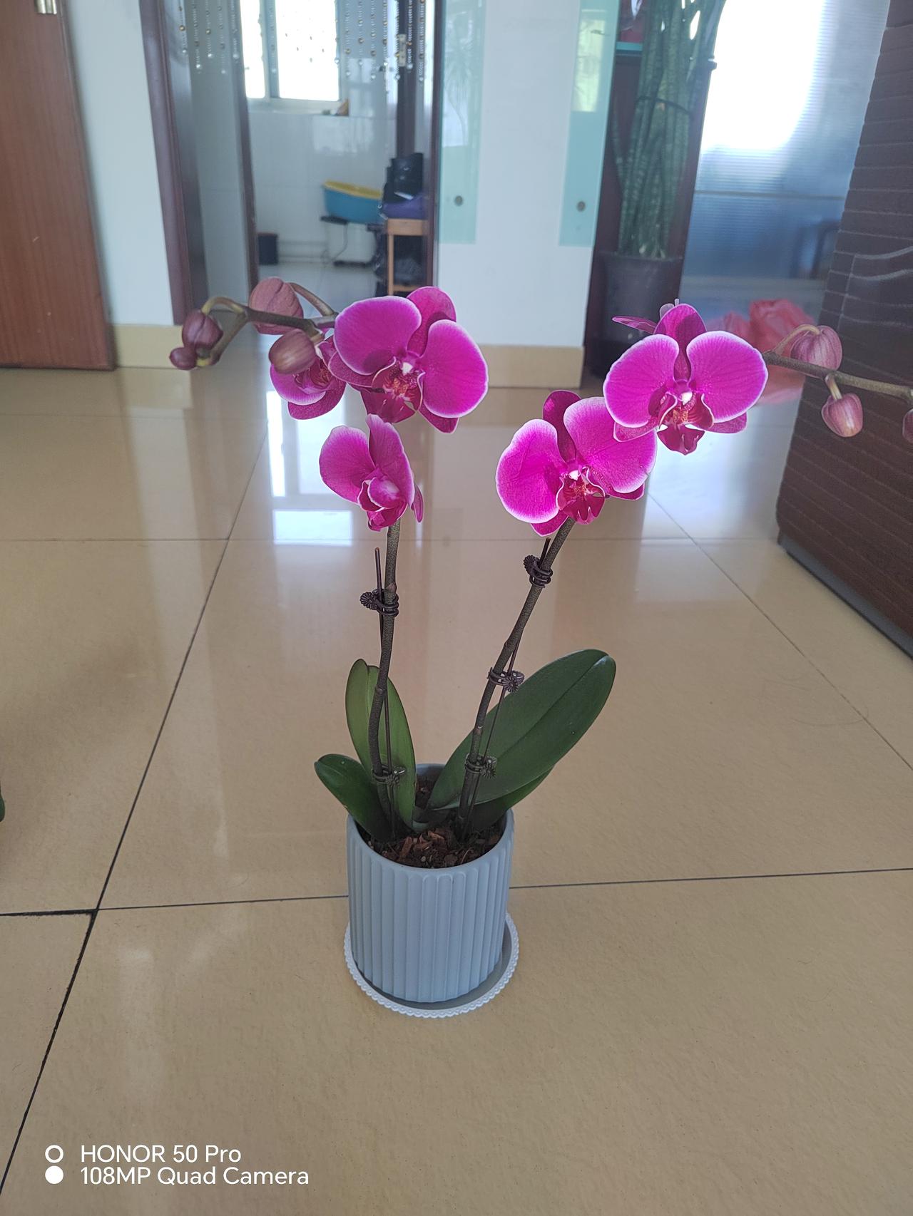 任何女人都不缺少提供情绪价值的能力和渠道。前提是只要她愿意，只要她认为需要，只要