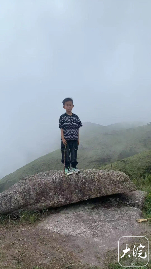 【福建#8岁男孩在海拔超1800米景区失踪#，当地回应：下山途中走失，还在寻找】