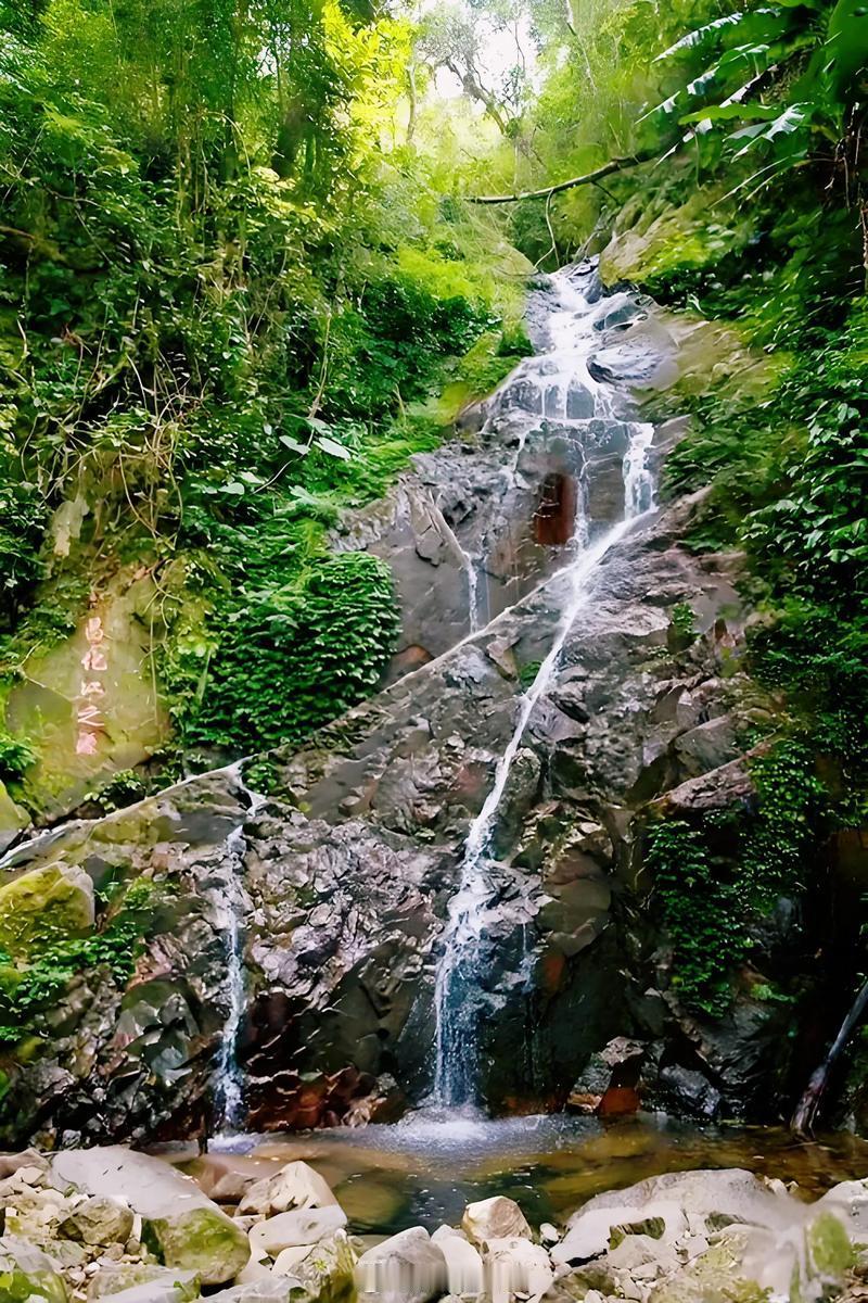 被特色旅行体验召唤了旅行不该只是路过，而是要深深“活过”一次。西双版纳，就是一