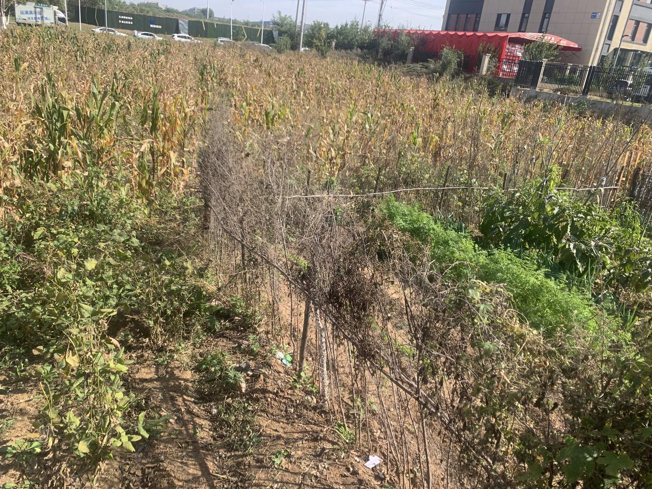 如果外敌再敢来犯，我们老百姓肯定上战场，把他们赶出去。古代东周时期，打仗轮不到老