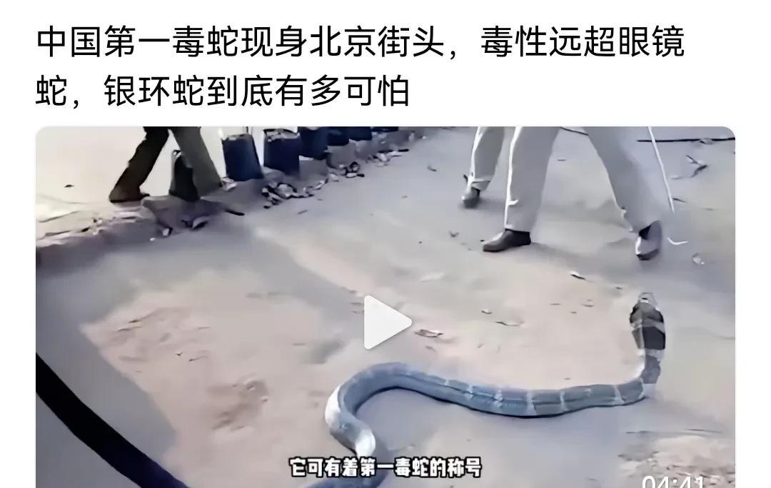 结合男方女子被蛇咬后身亡，加上现在北京街头也见到毒蛇，不是有人恶意，就是有人“放