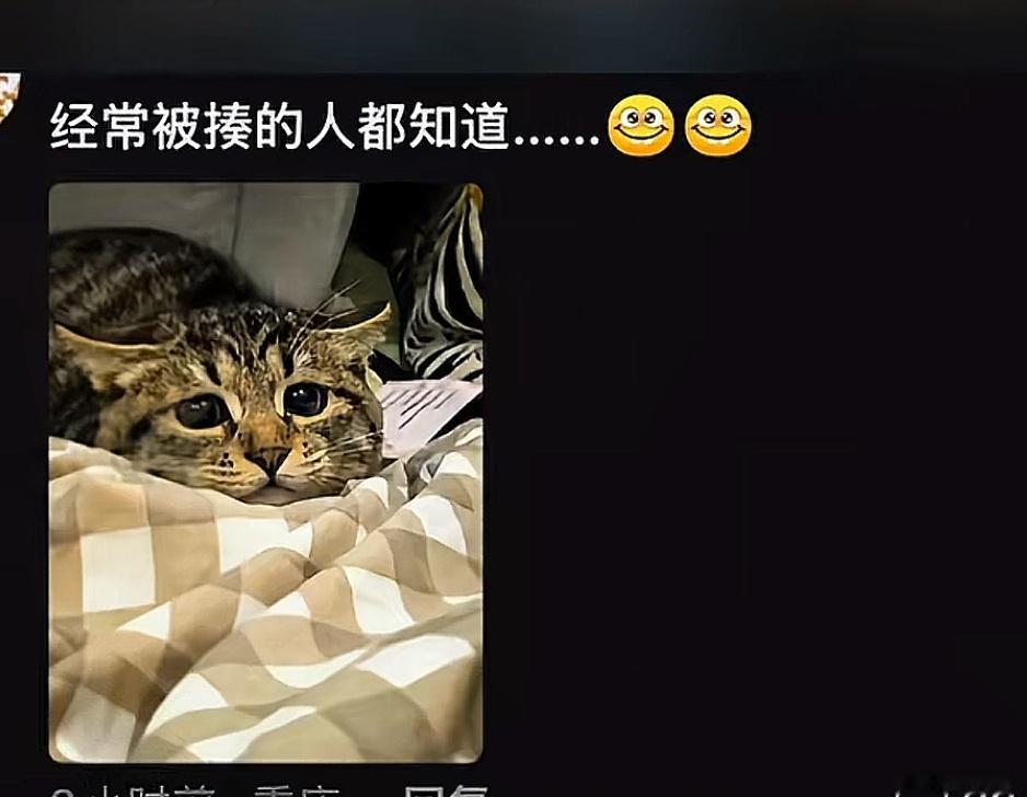 哈哈哈猫猫瞳孔变圆的时候看起来很萌，但却是它们的猎杀时刻