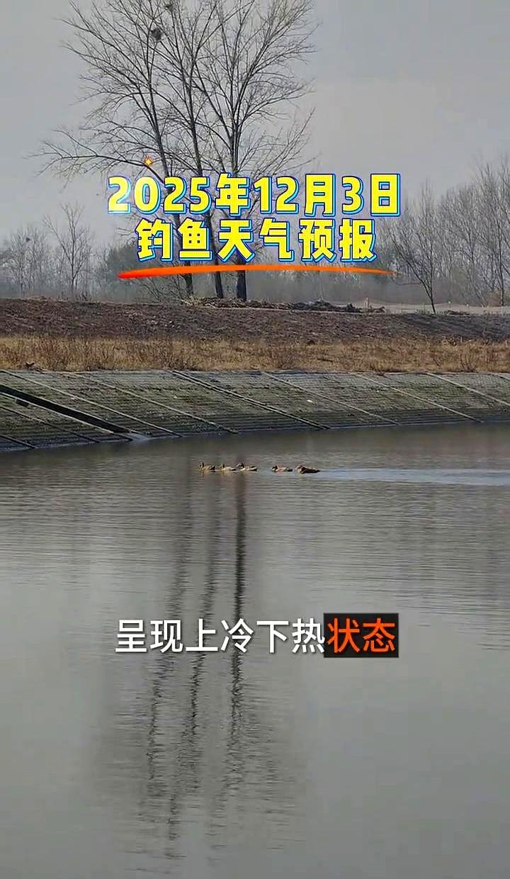 厚衣服还没穿上，鱼先冻到不开口了！这是因大幅降温致水温异常，鱼群活性降低躲进