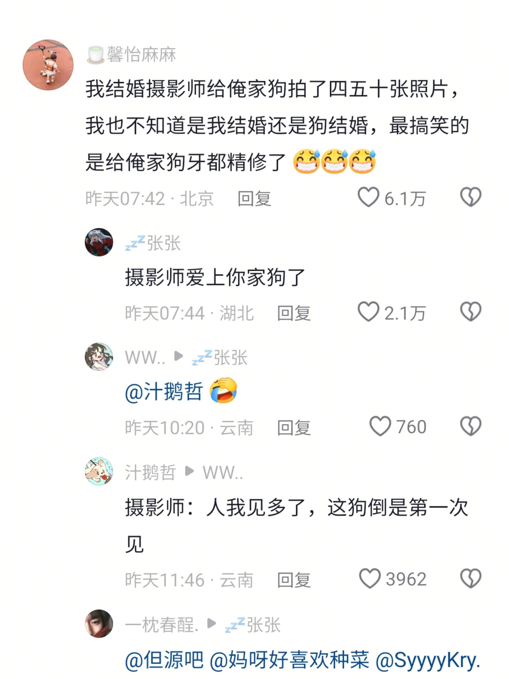 摄影师:人我见多了，这狗倒是第一次