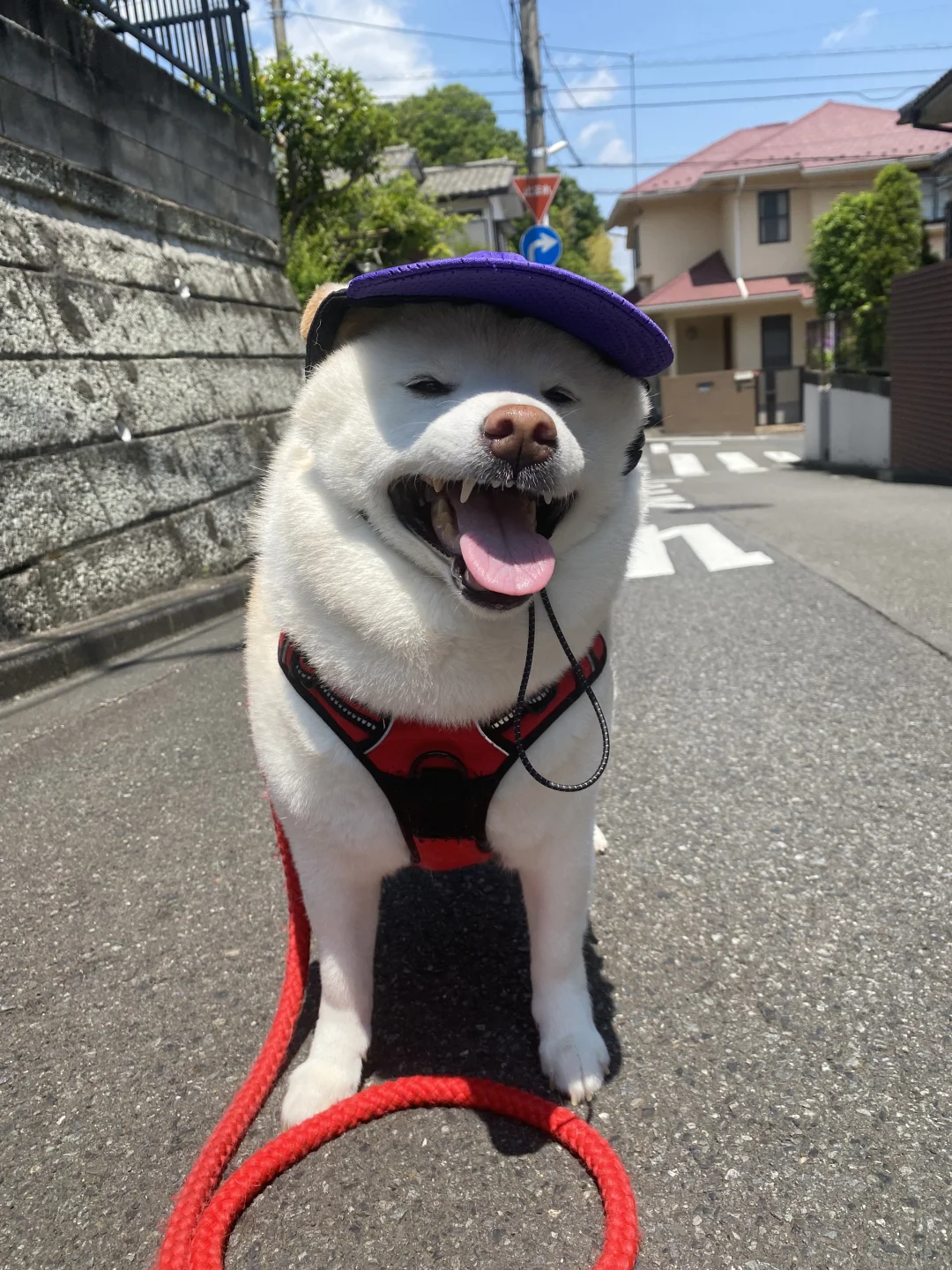 你今天防晒了吗？