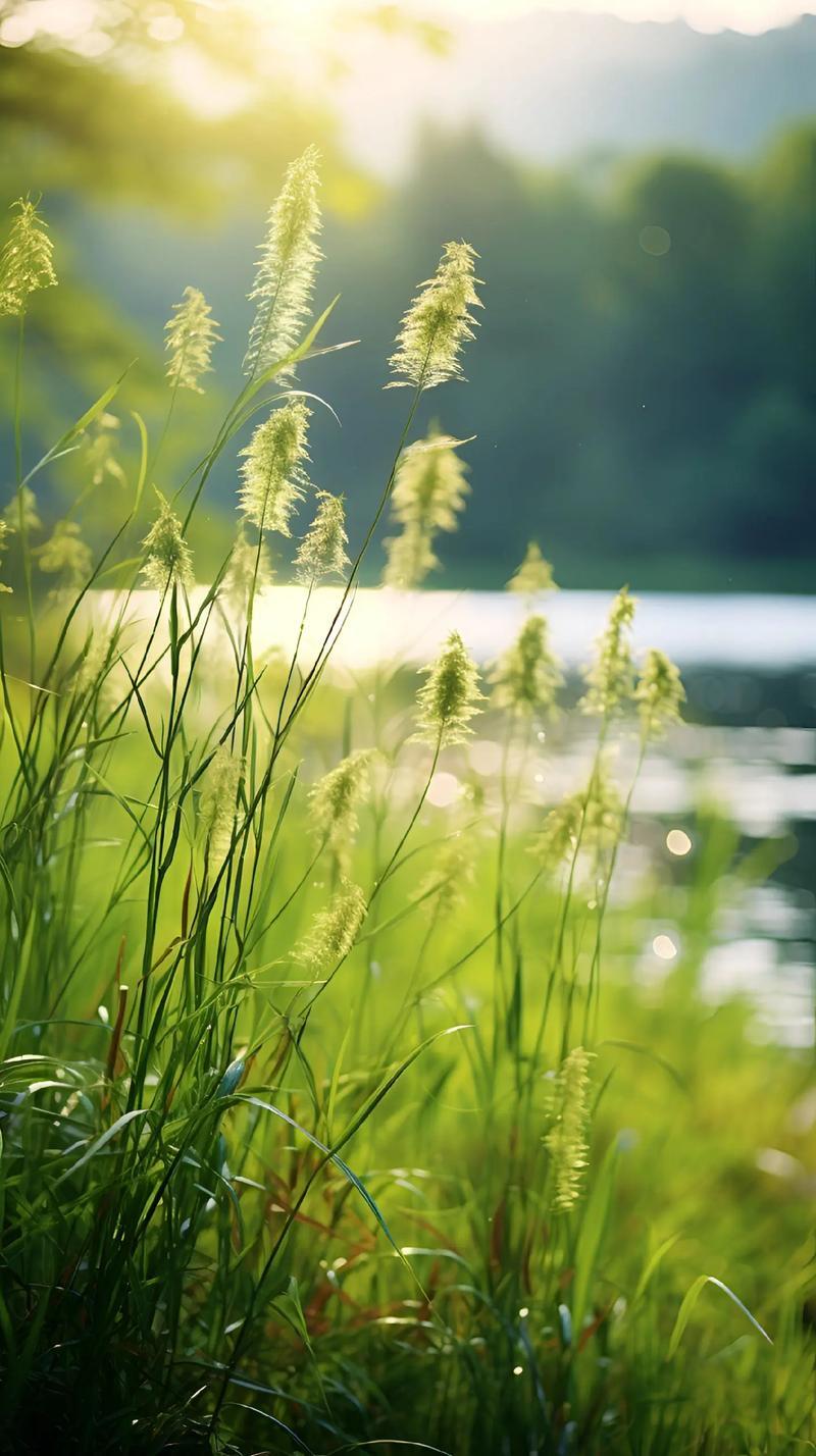 从上个月开始到现在，在这个平台，不管你怎么写都没有流量，每天展现量都不足100，