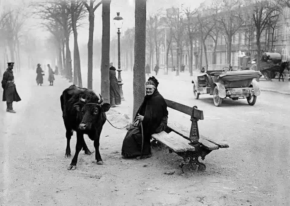 1918年布列斯特條约签订，让德国从东线可以抽掉250万以上的部队回到西线作战。