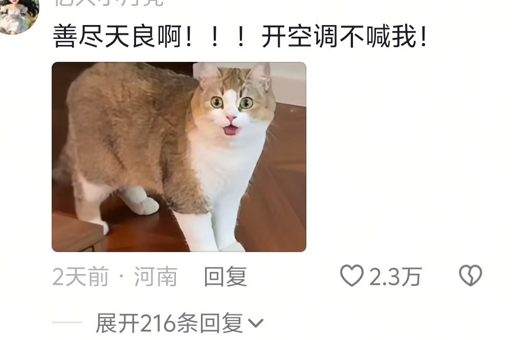人怎么背着咪过好日子