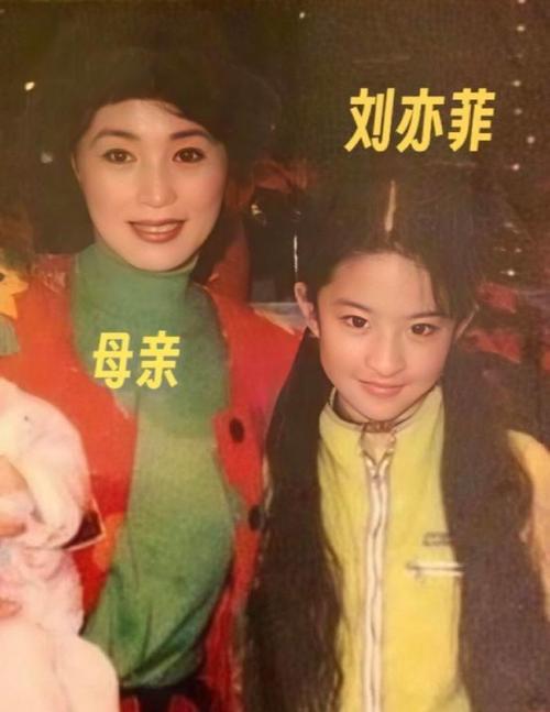 2026年6月8日，向太陈岚发视频盛赞刘亦菲是“富养女儿典范”。她透露刘亦菲母亲