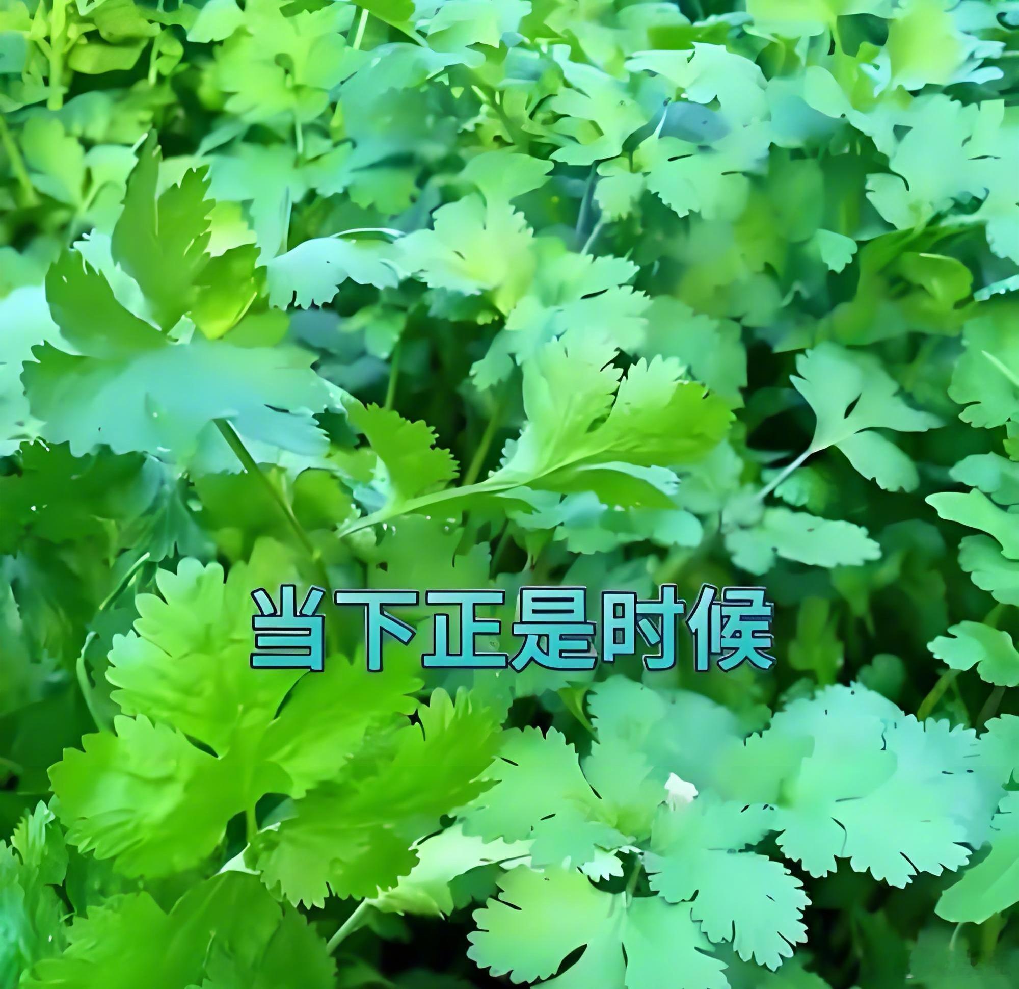 魏某被乌拉特中旗警方抓获，以职务侵占1286万移送检方，检察院只起诉了其中492万，法院最终判三缓四
