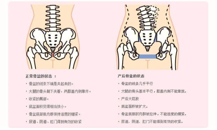 从来没有考虑过这个角度，原来看一个骨头就能知道有没有生过孩子​​​