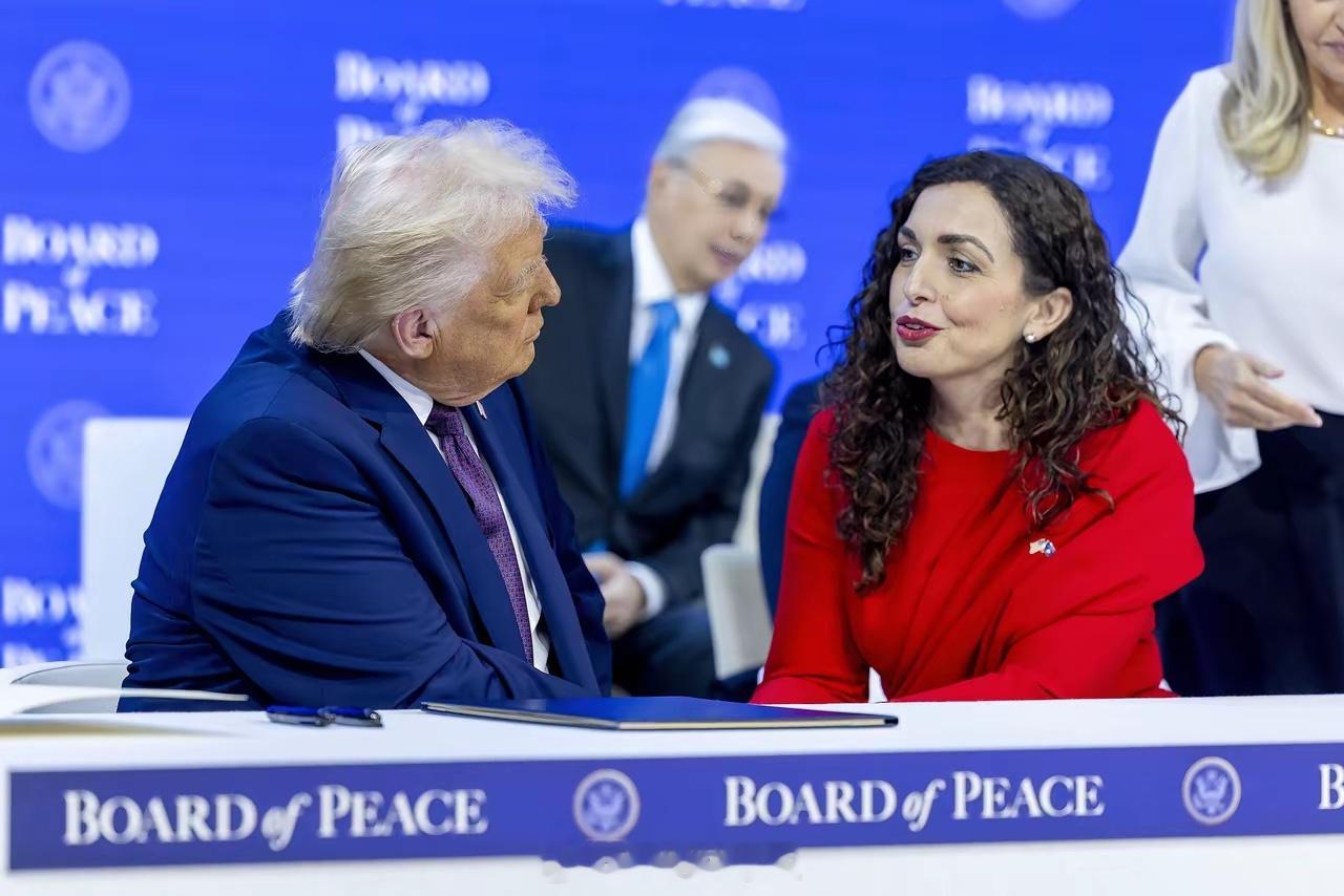 全场唯一的、也是最醒目亮丽的领导人，是来自科索沃共和国的女总统维约萨·奥斯马尼（