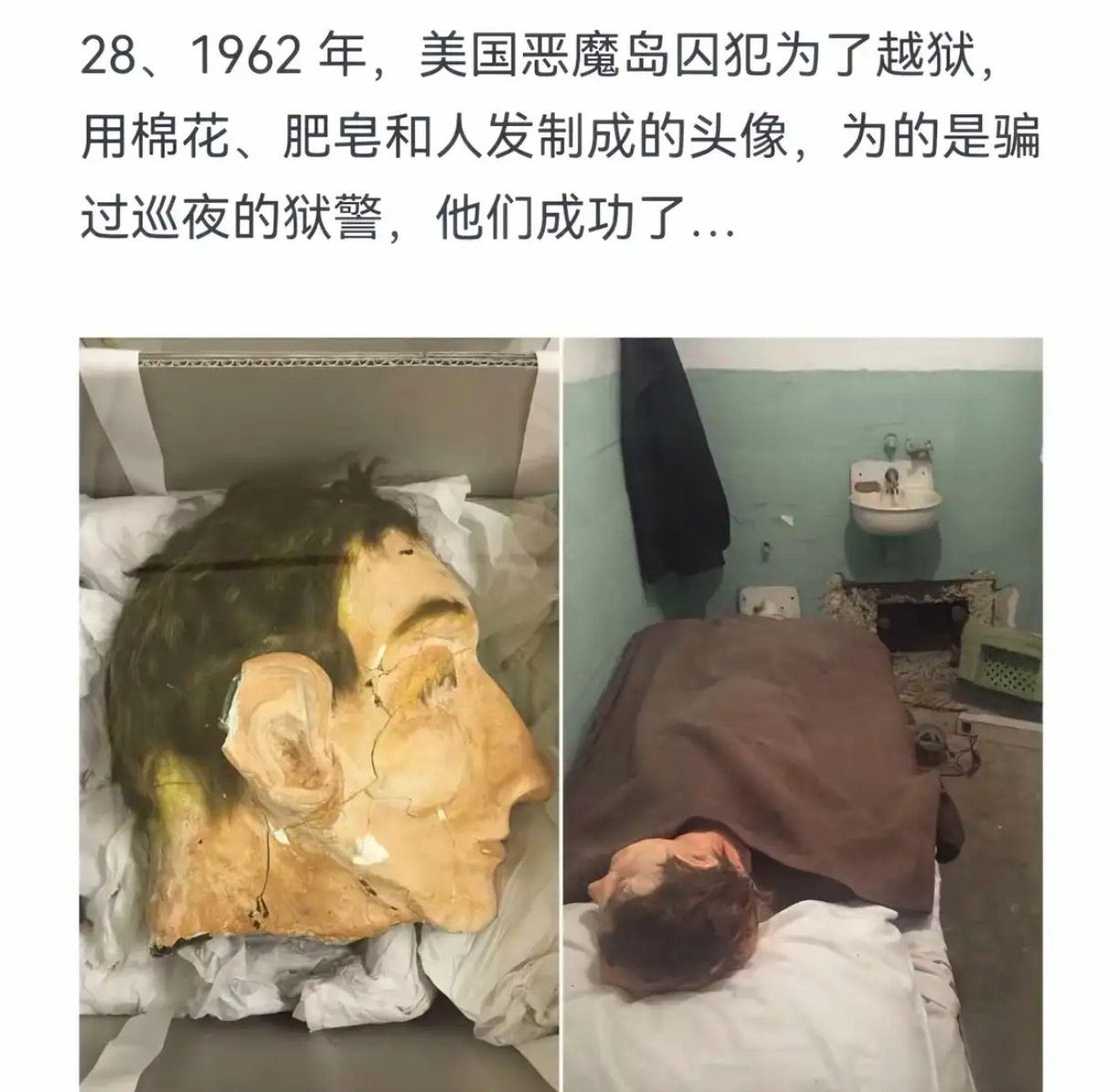 另类的艺术家[doge]​​​