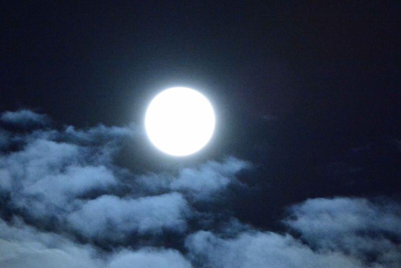 上联：一帘月色清风绕；下联：满园花香夜雨摇。