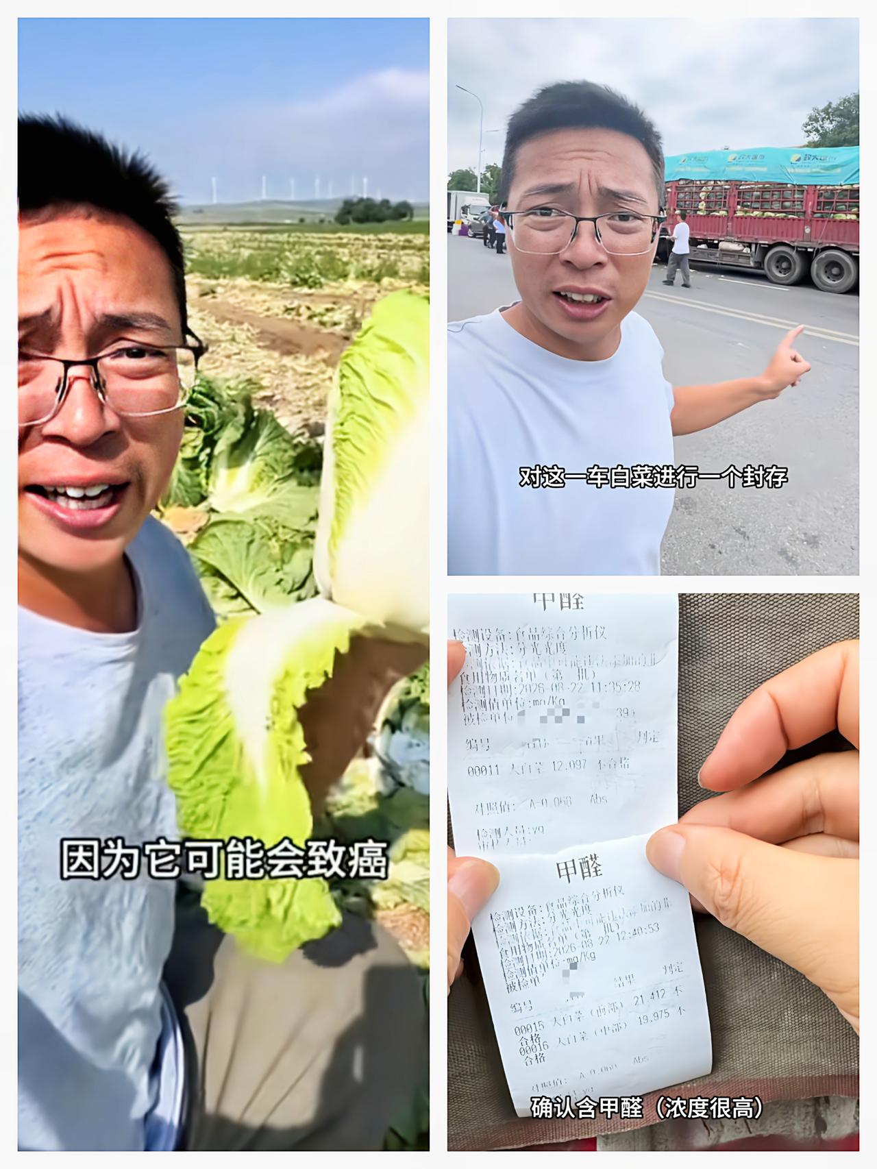 张家口甲醛白菜事件，更多的被扒出：1、现场干活的都是附近村里临时雇工，一天一